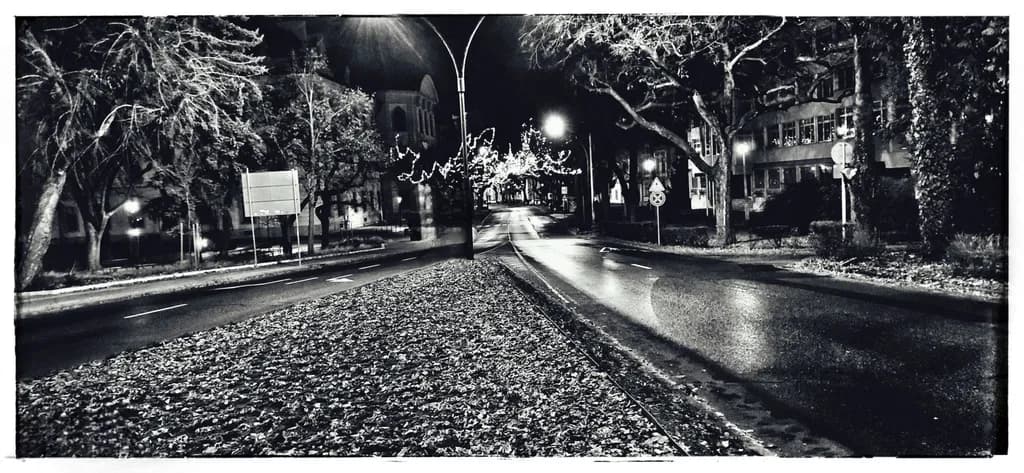 Eger Nights