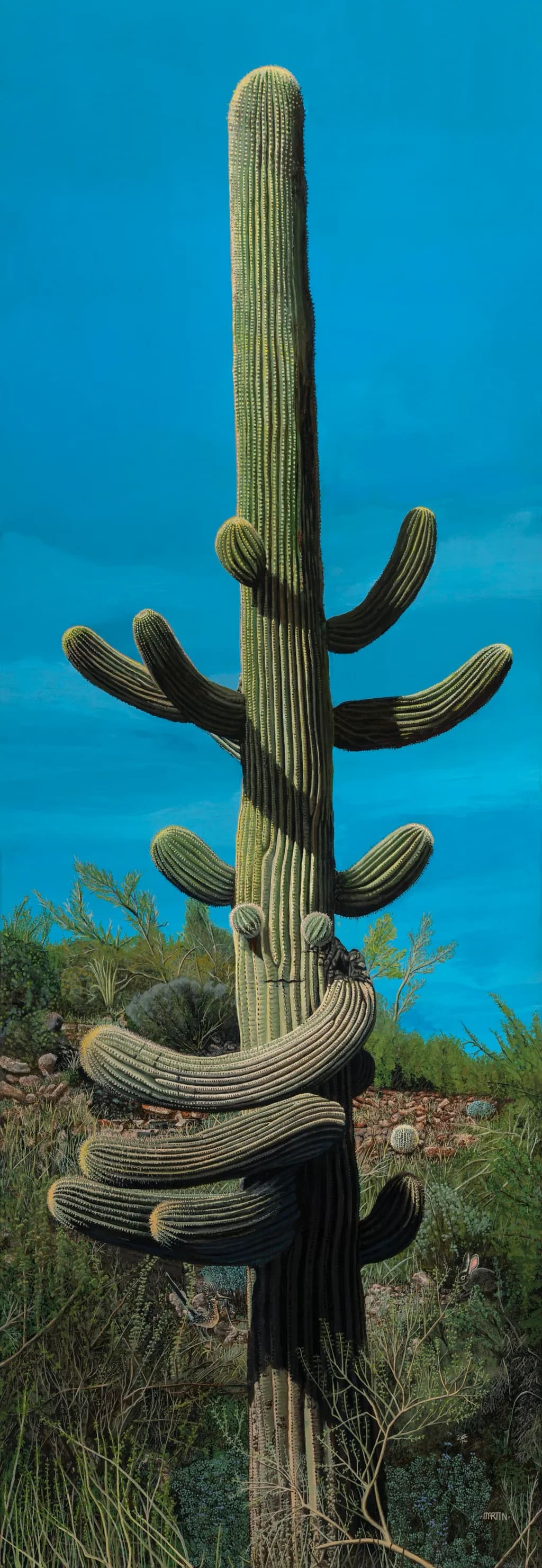 Cactus Embrace