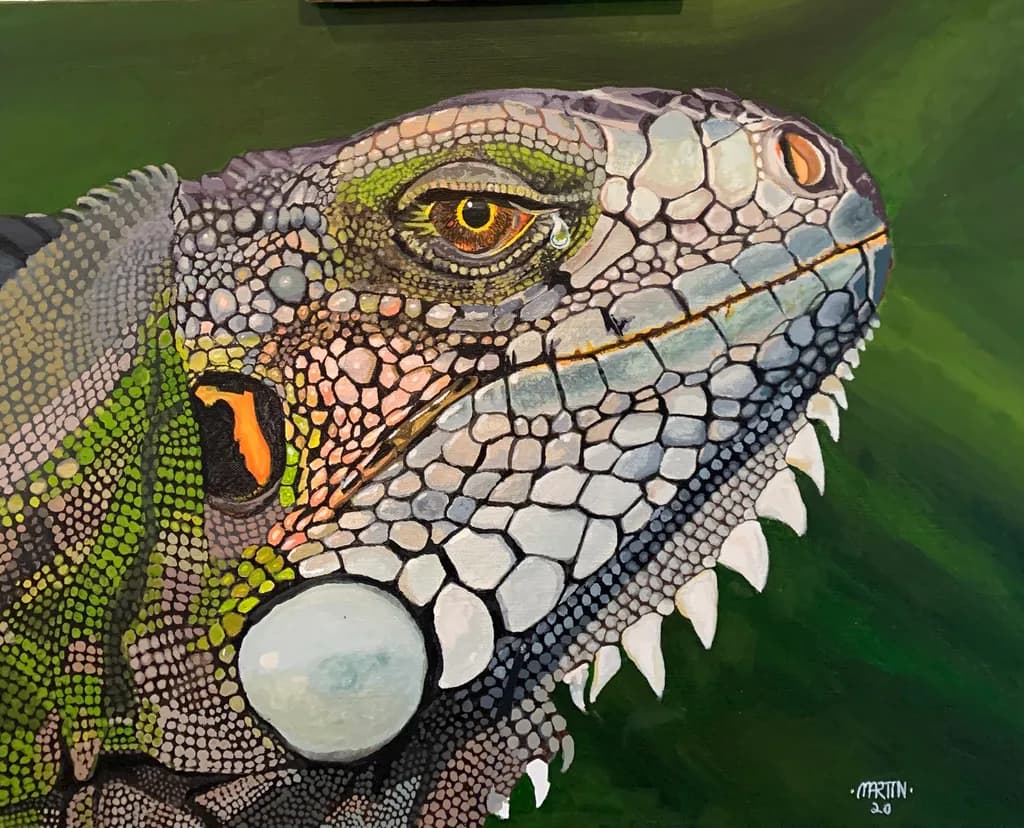 Green Iguana