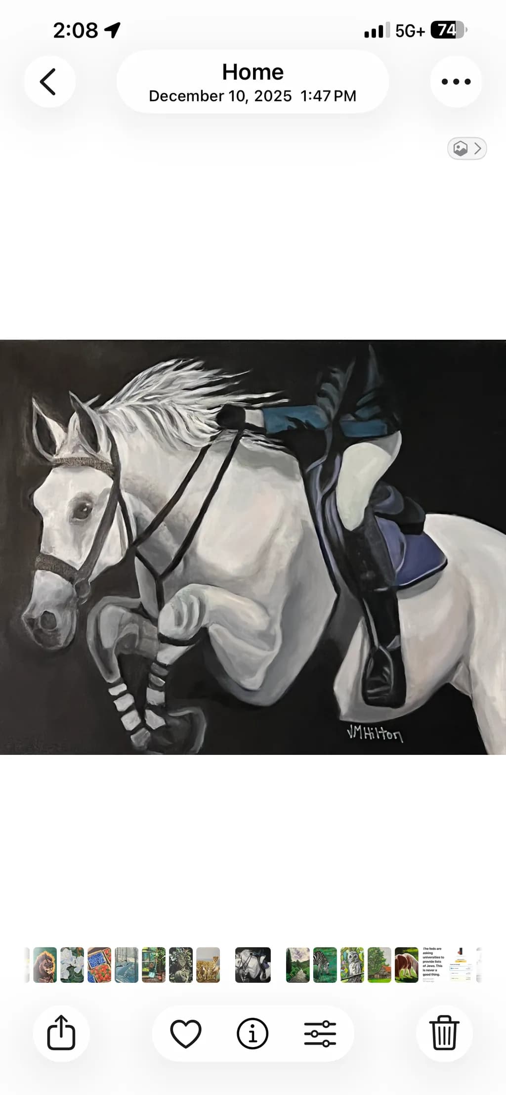 Equestrian Leap