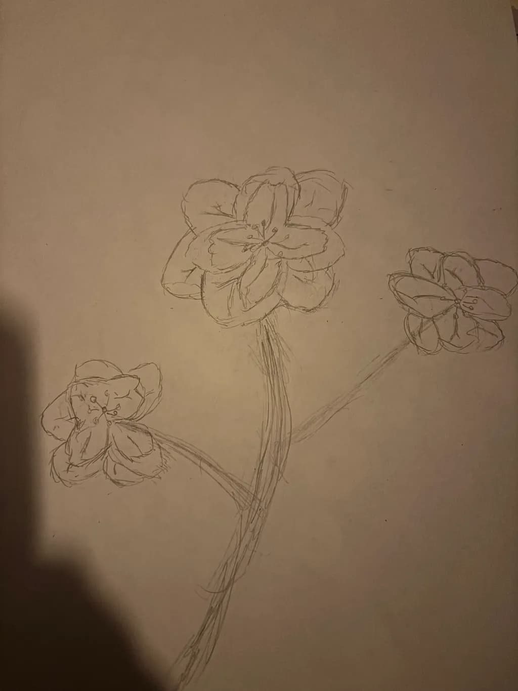 Floral Sketch