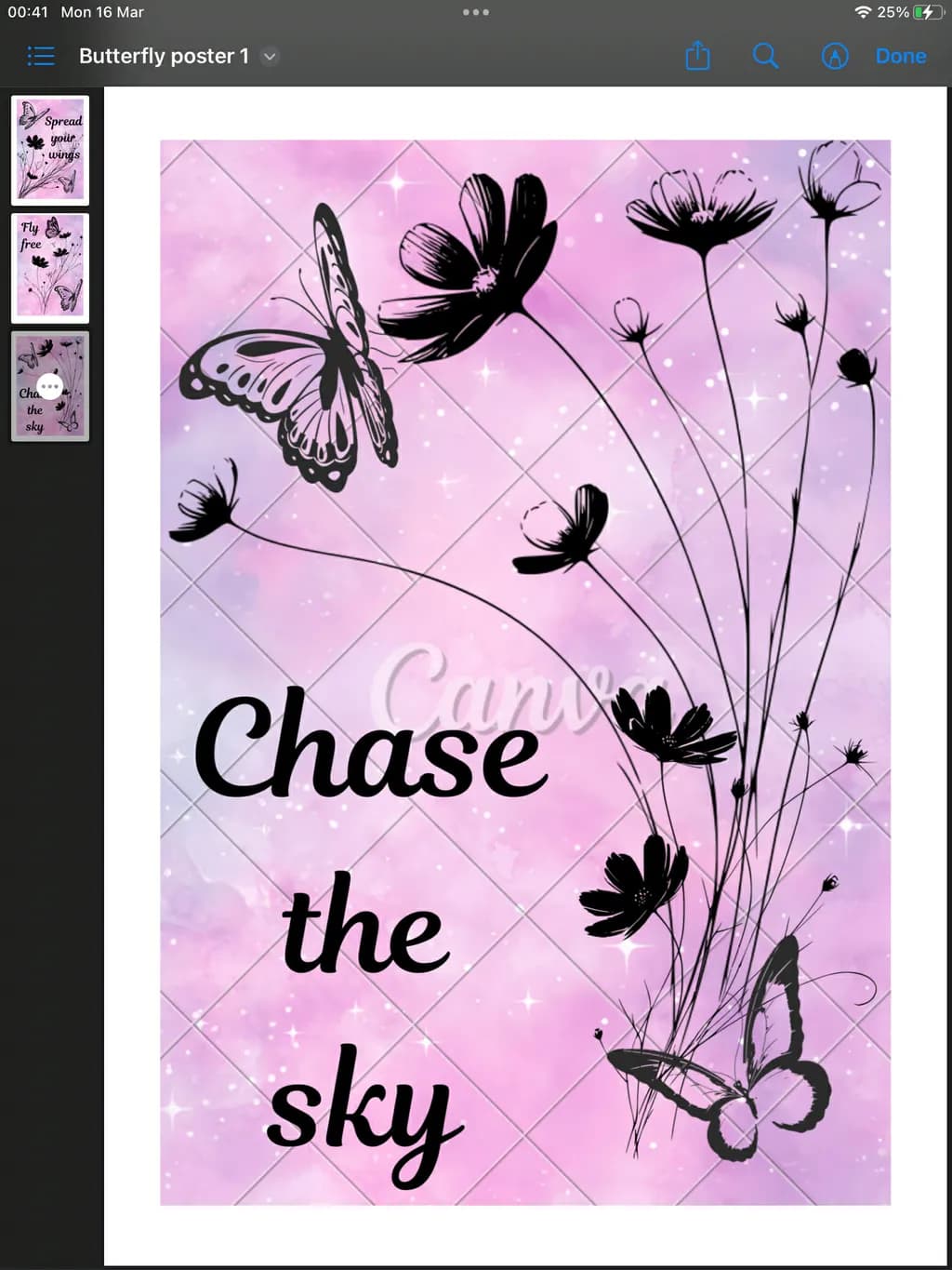 Chase the Sky