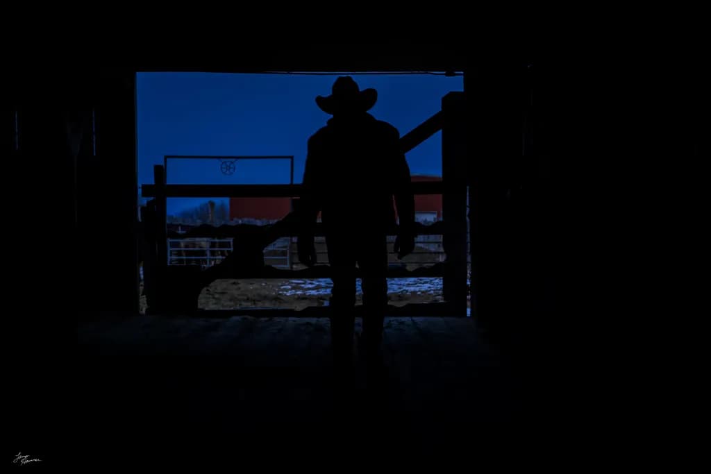 Cowboy Silhouette