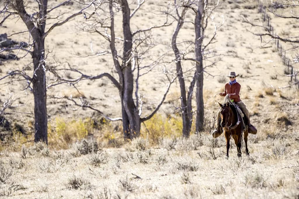 Cowboy Adventure