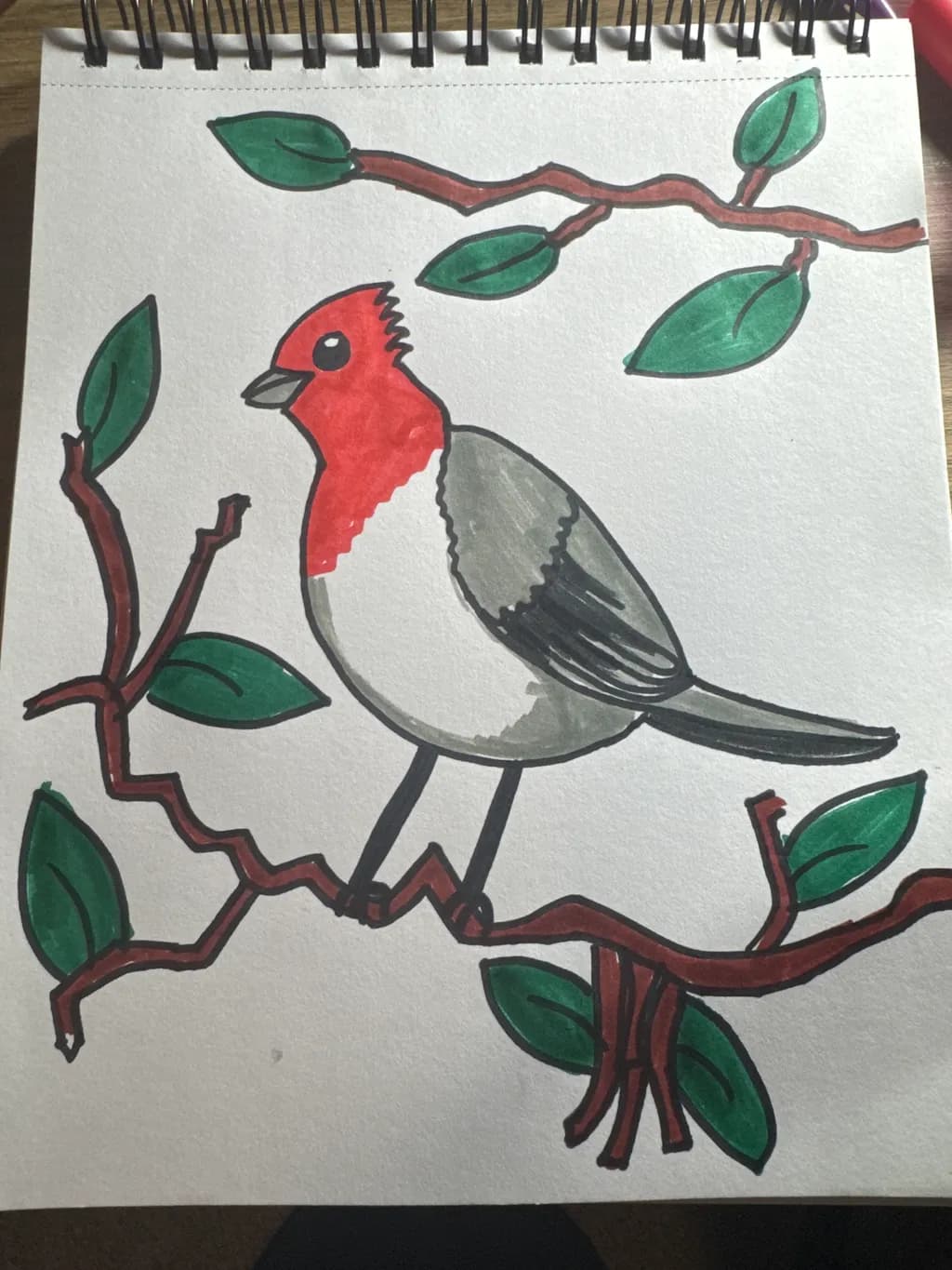 Red Crest Cardinal