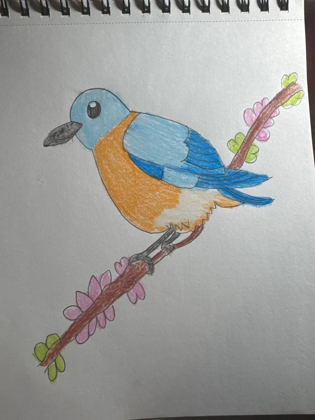 Bluebird on Blossom Branch