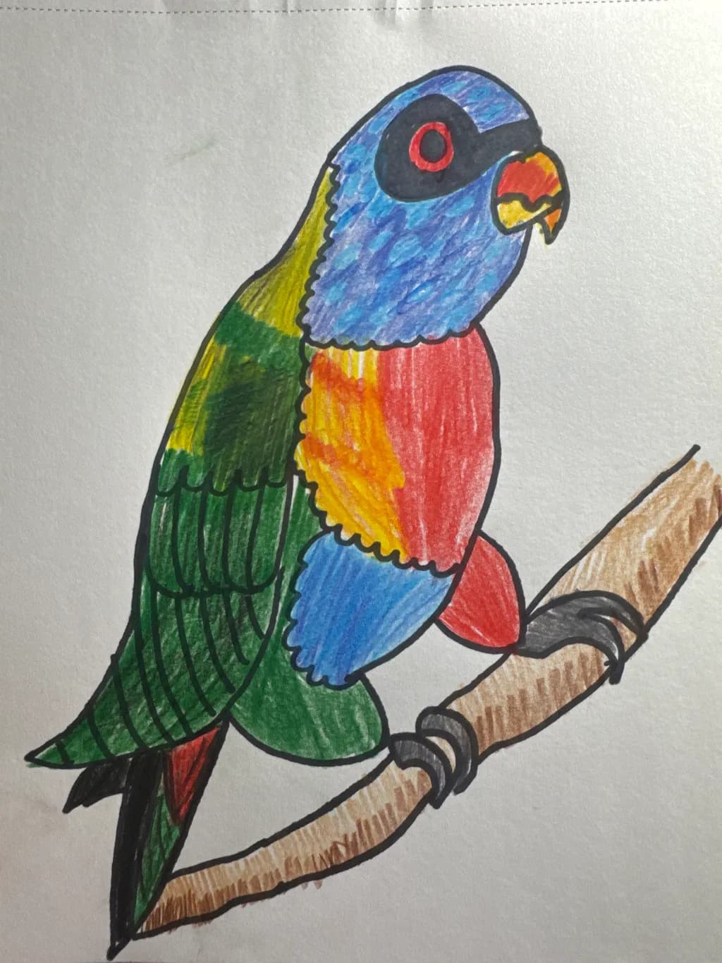 Rainbow Parrot Perch