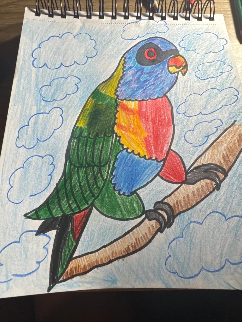 Rainbow Parrot
