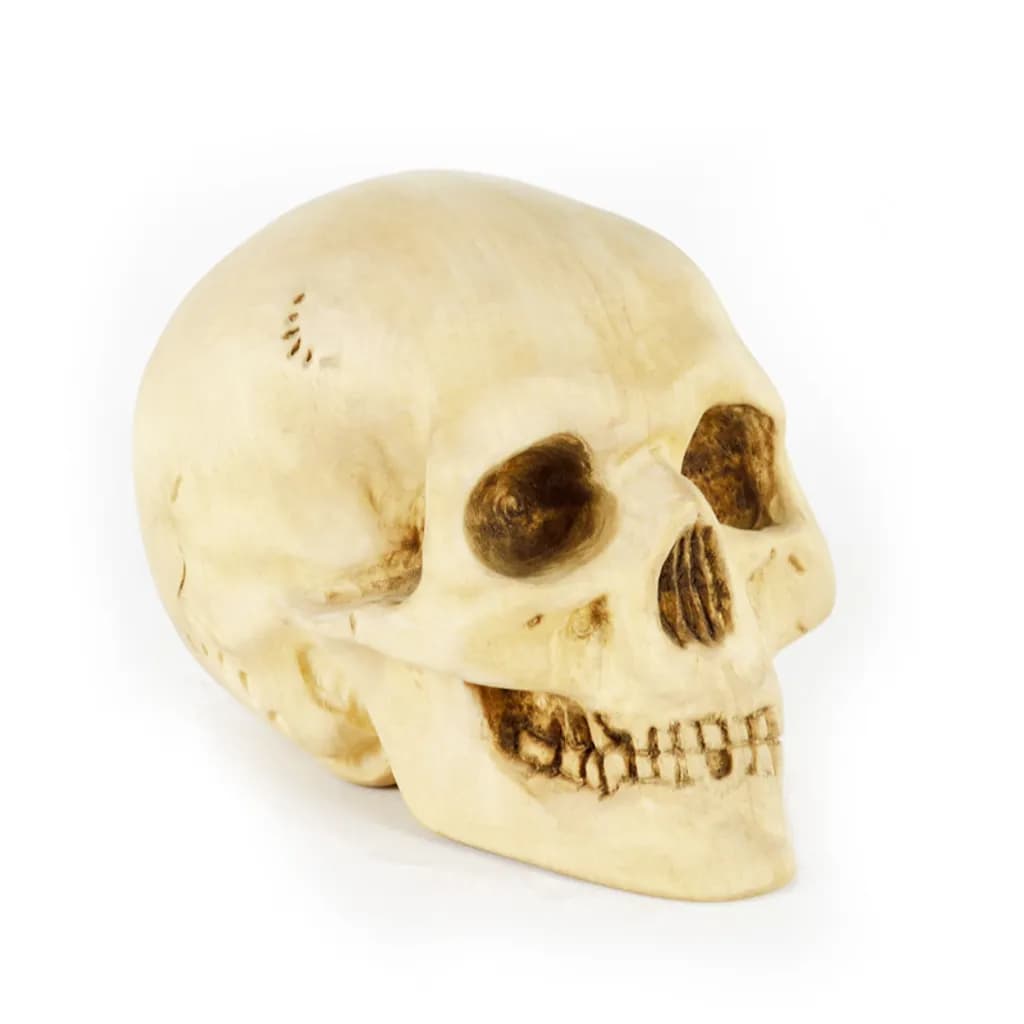 Hamlet Skull Model