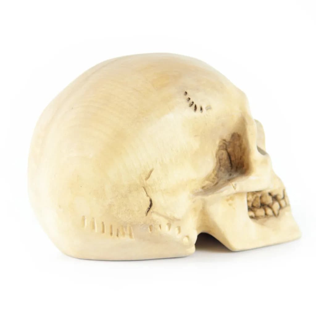 Hamlet Skull