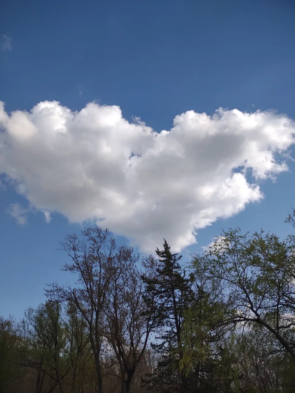 Heart in the Sky