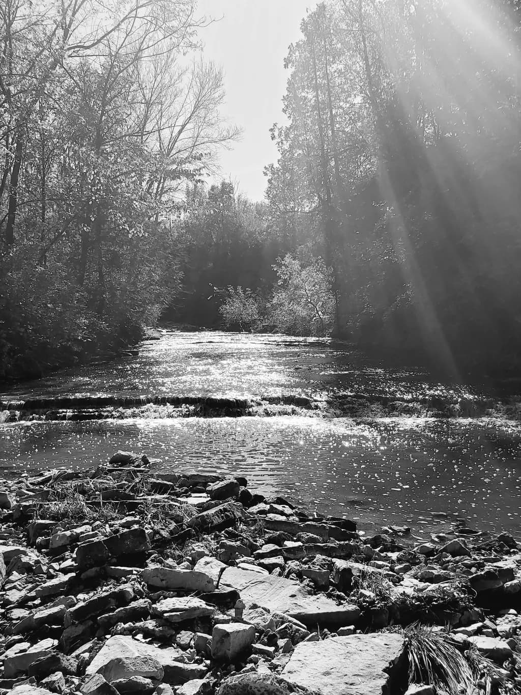 River Reflections