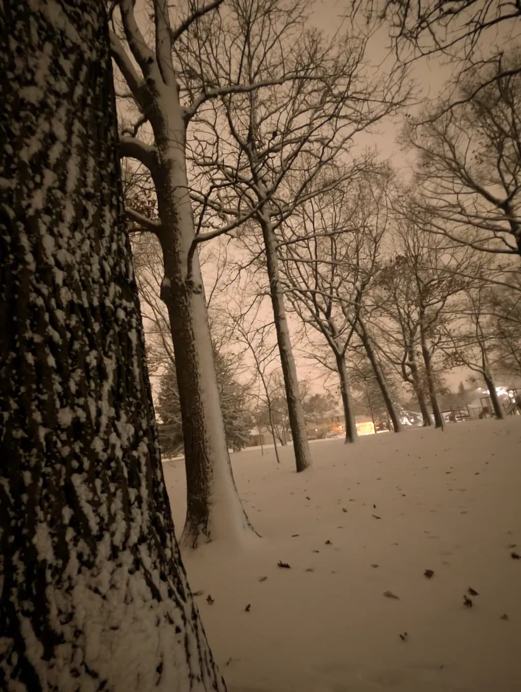Silent Snowfall