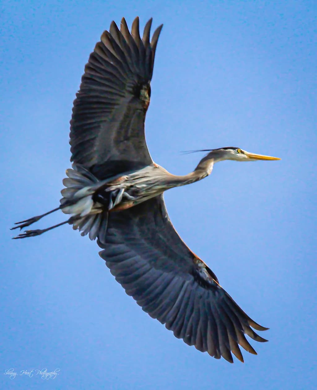 Currents in Flight