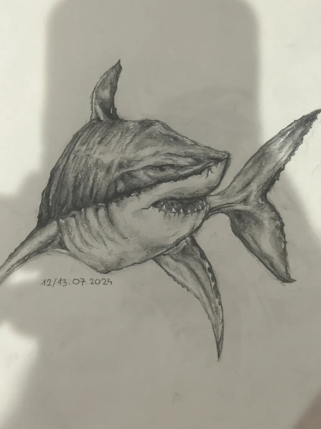 Shark Sketch