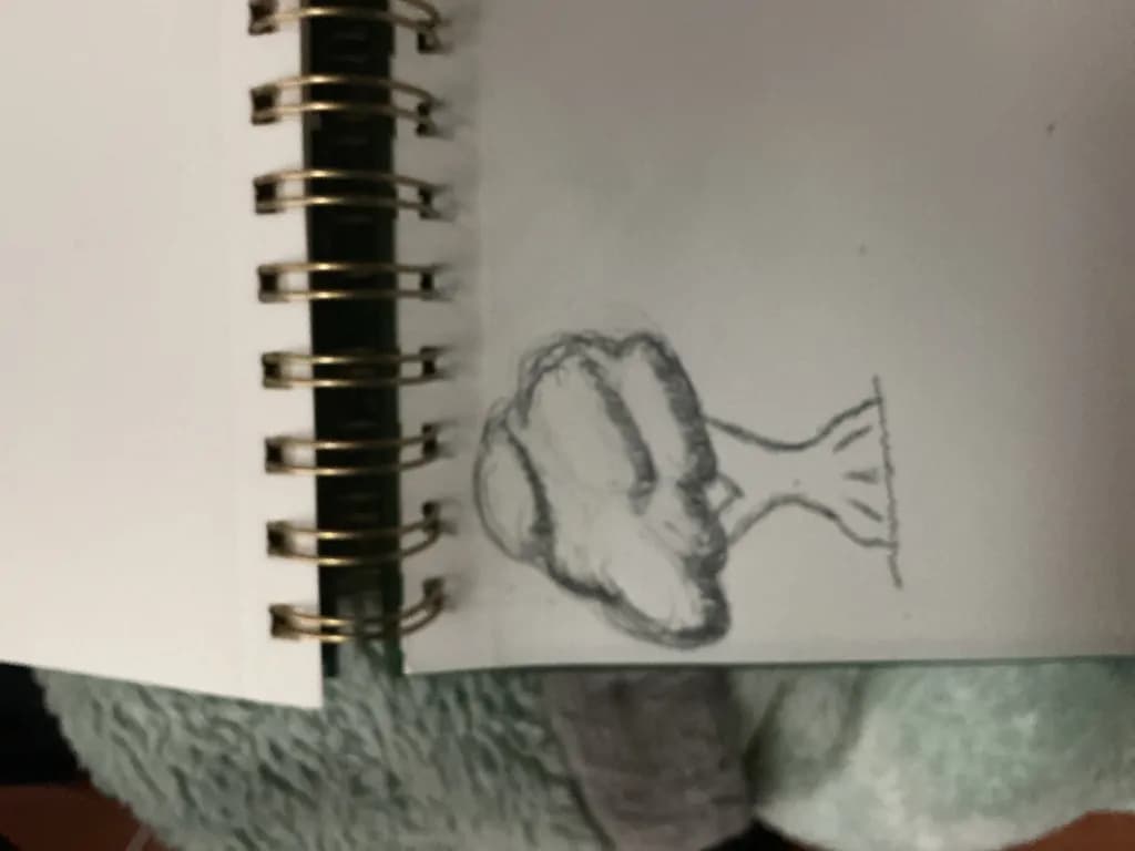 Notebook Tree Sketch