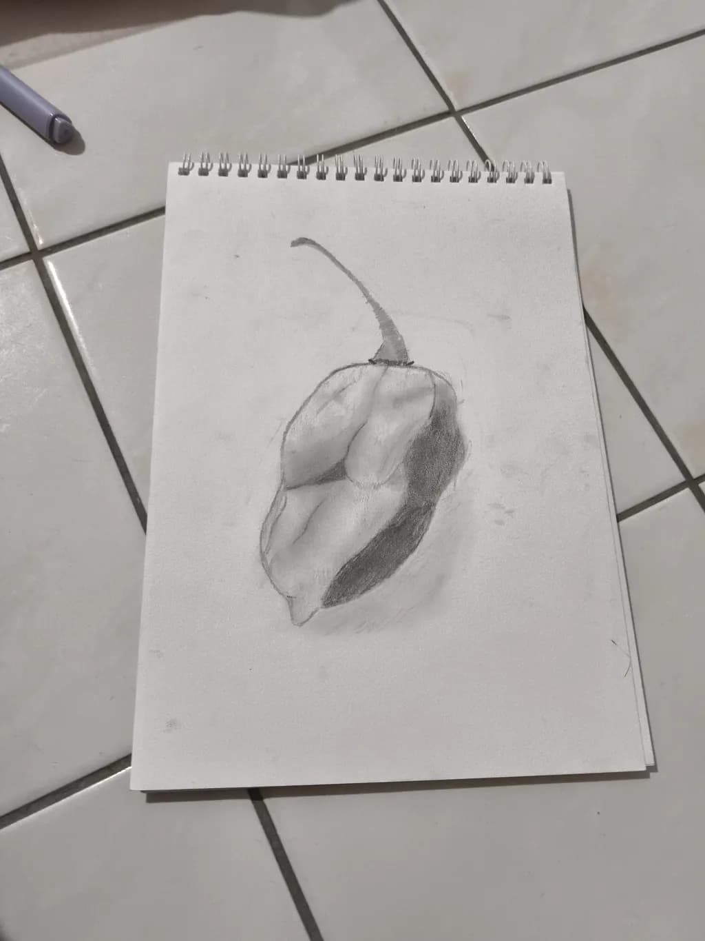 Chili Sketch