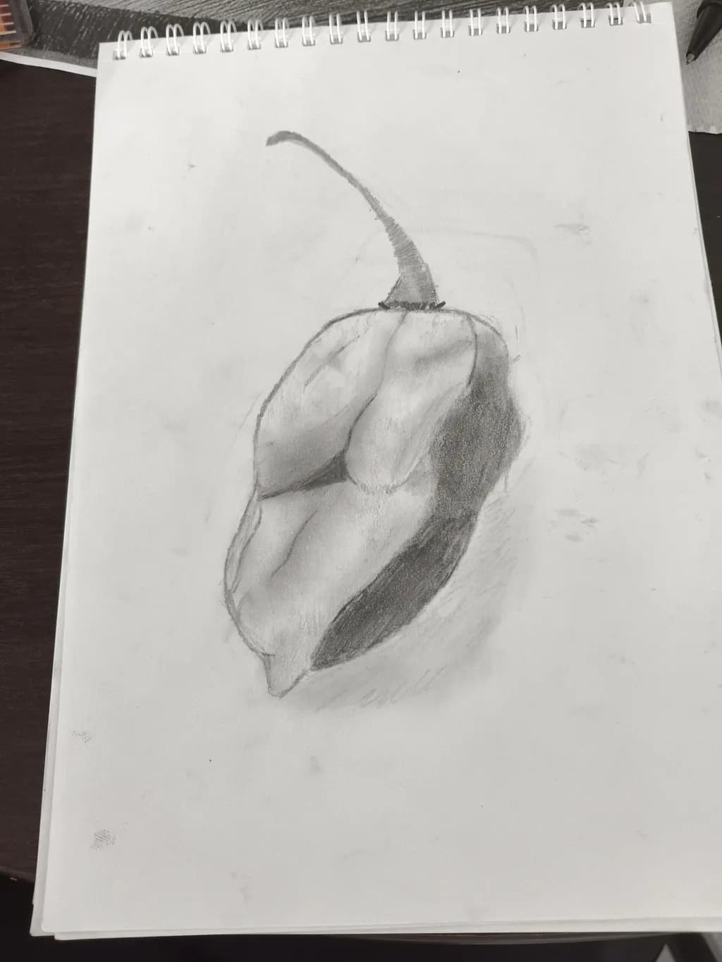 Chili Sketch