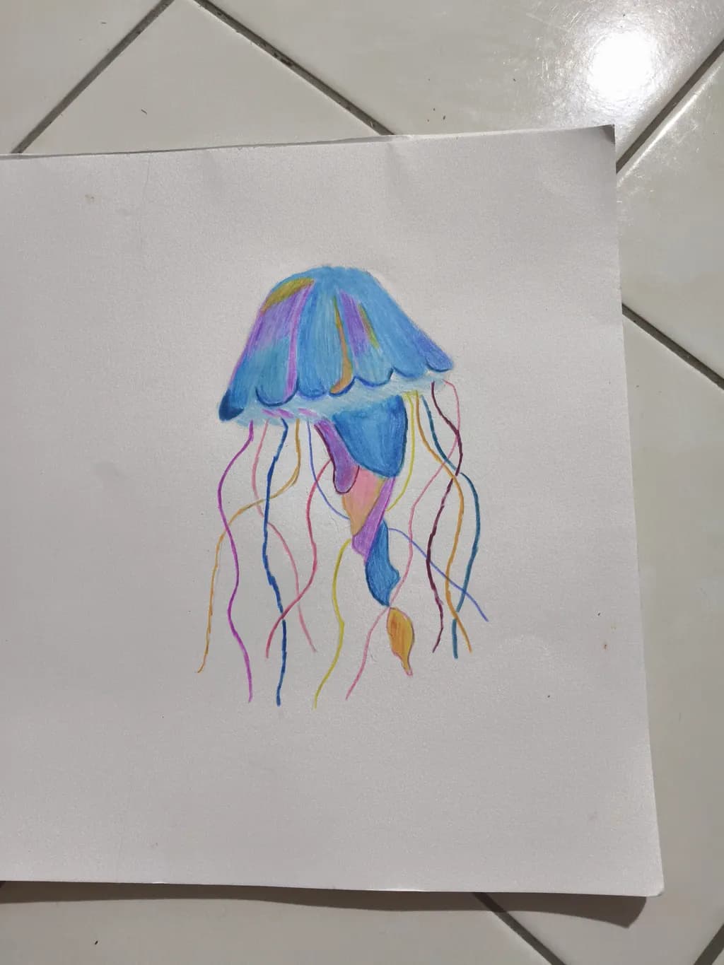 Colorwave Jellyfish