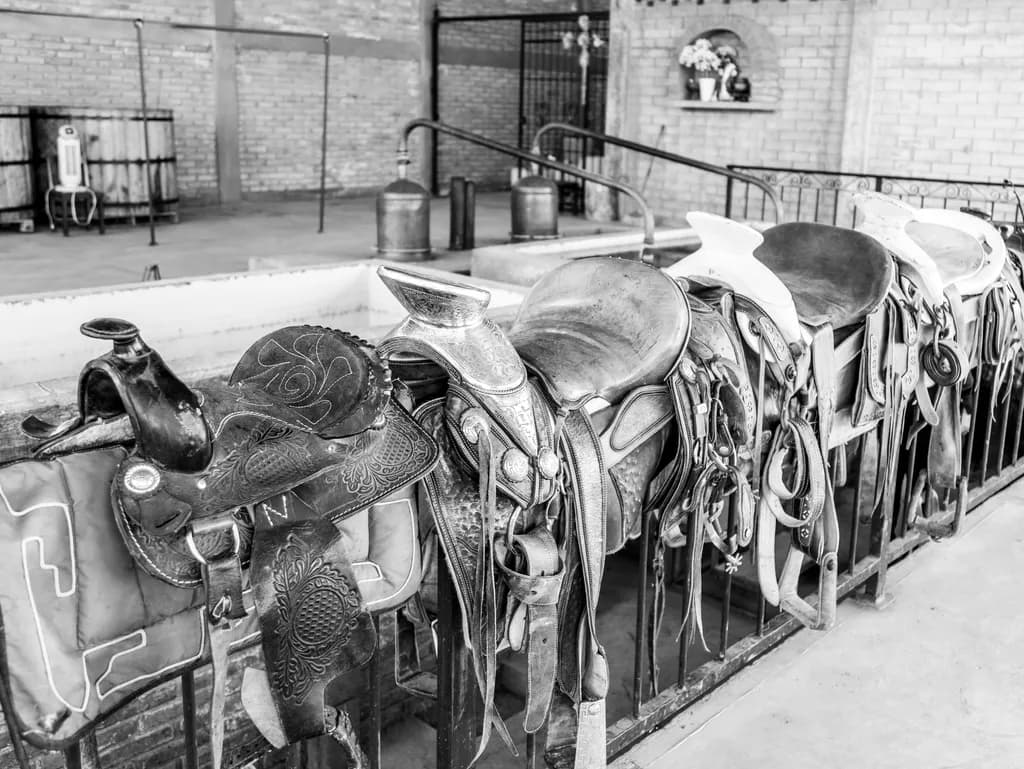 Saddle Row