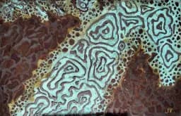 Abstract Rust Patterns