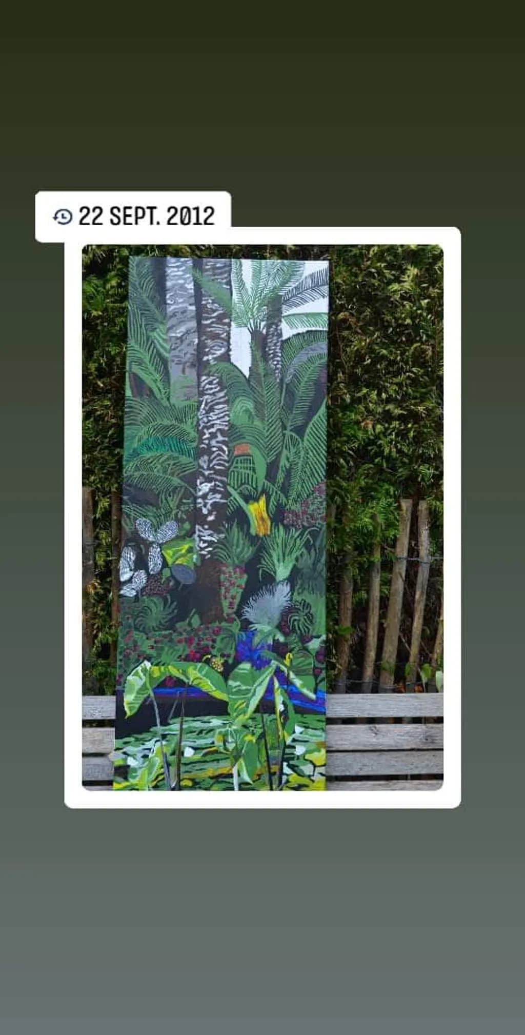 Tropical Canopy