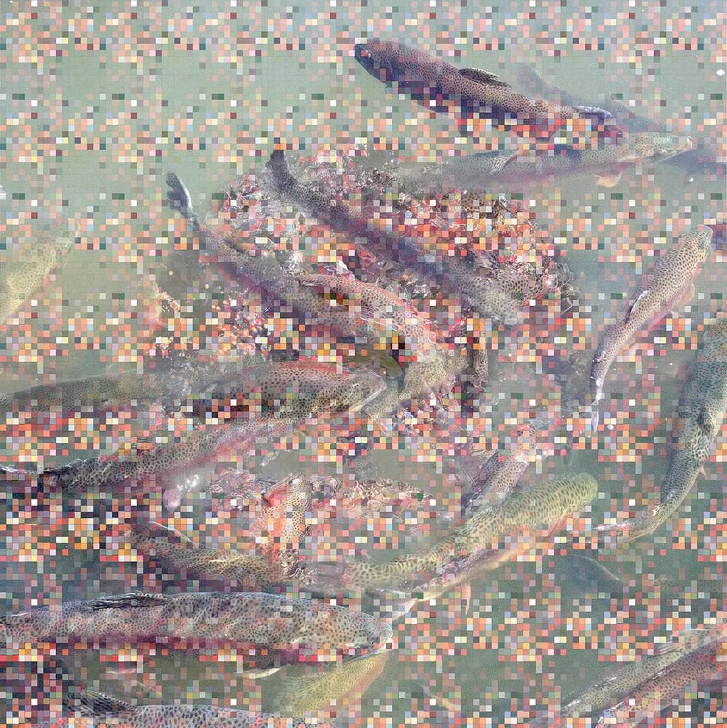 Fishing Hole