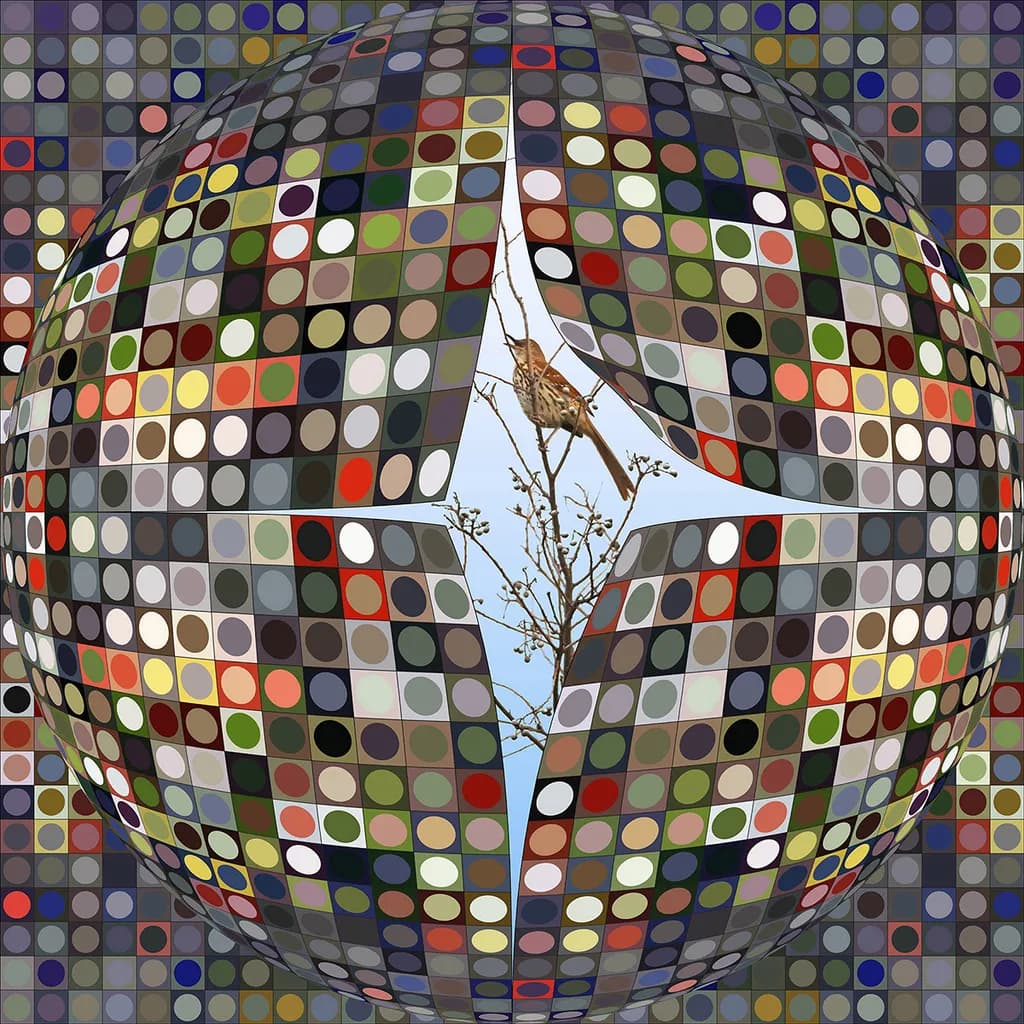 Fragmented Reality