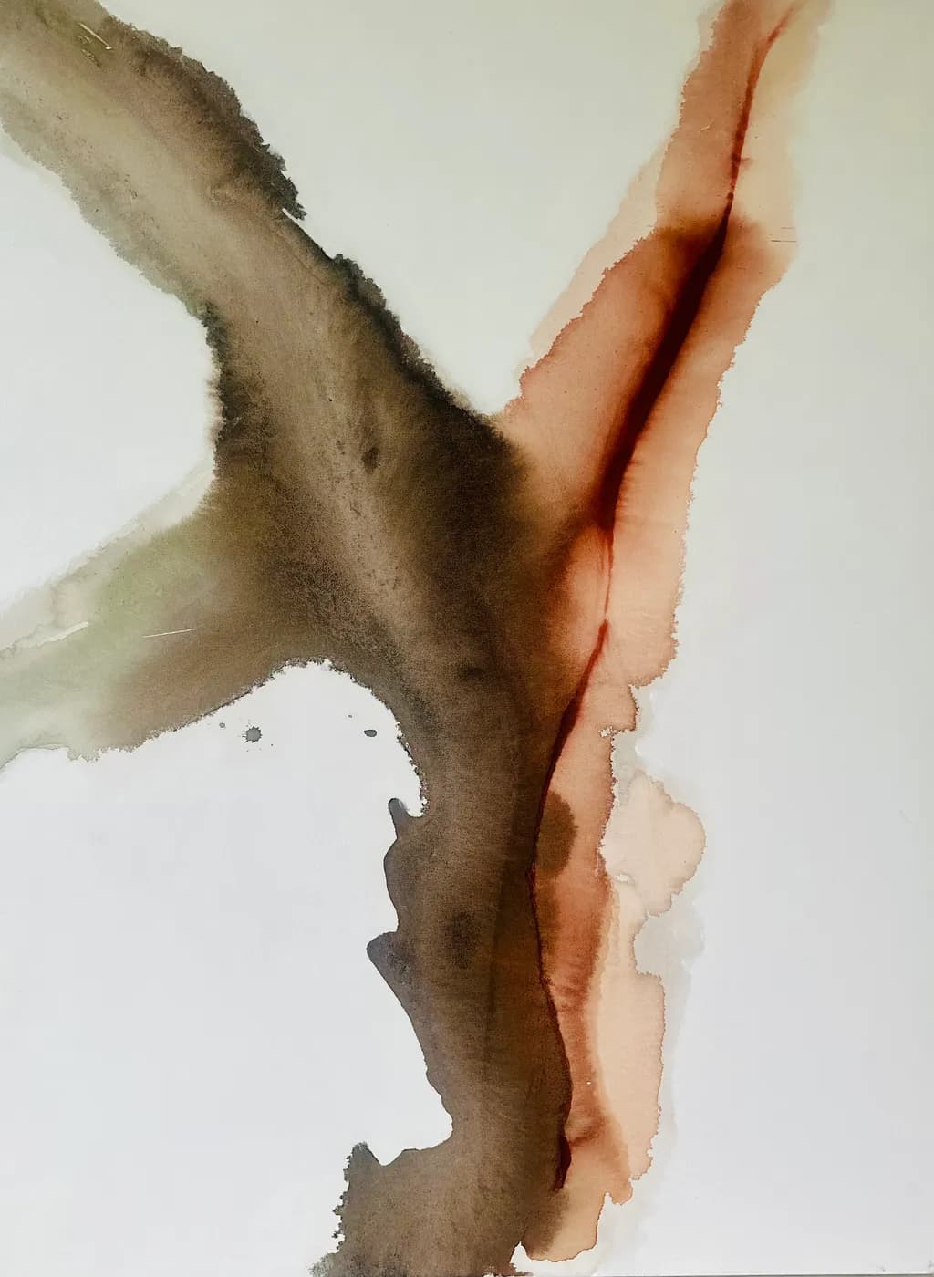 Fluid Harmony
