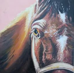 Blaze the Horse