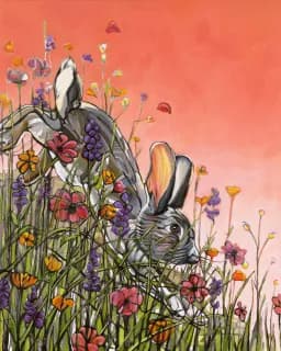 Down Hare