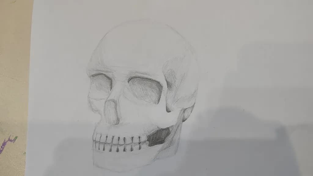 Skull Study