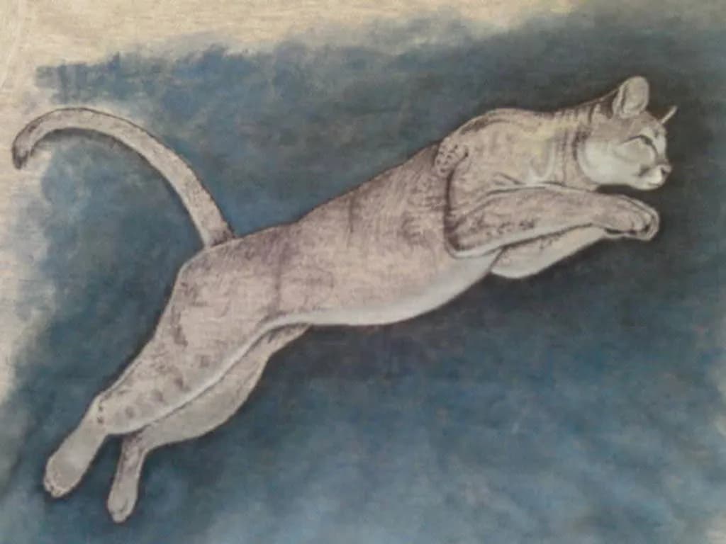 Leaping Grace