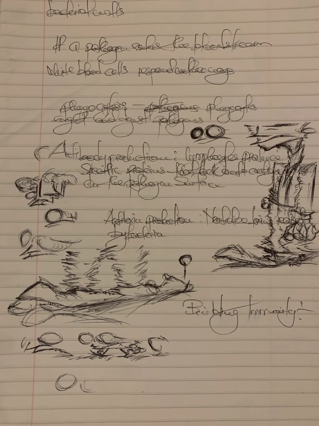 Biological Explorations