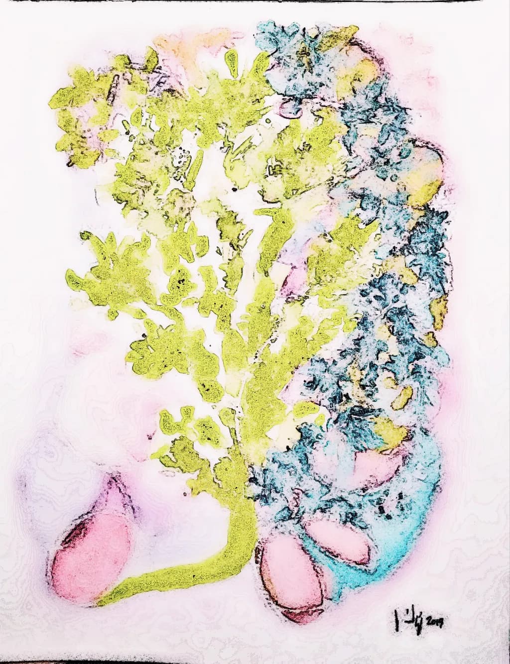 Coral Bloom