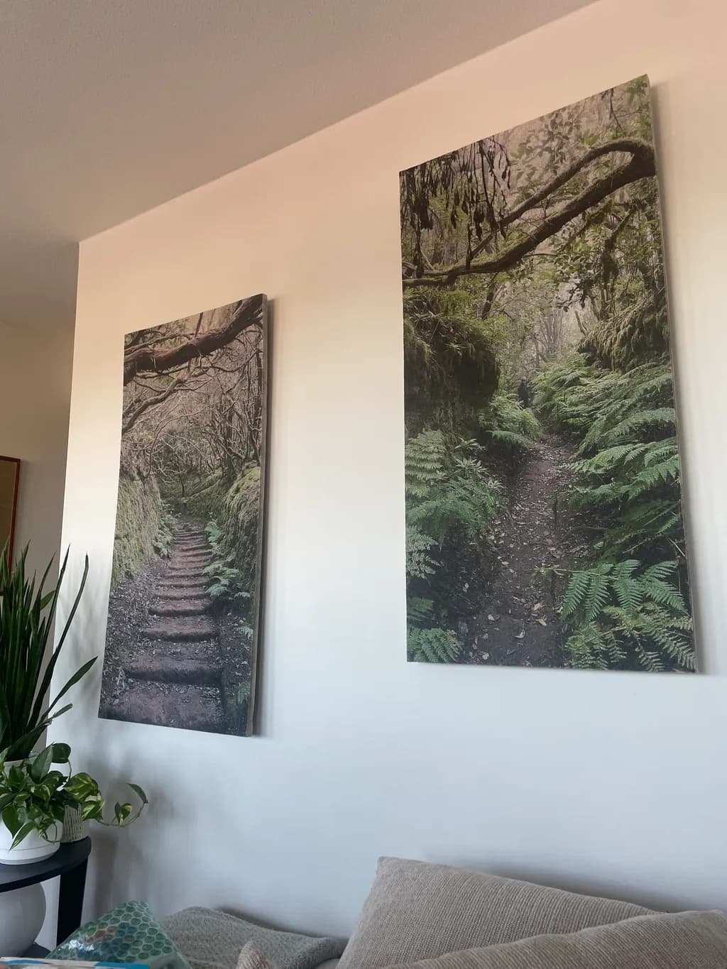 Forest Pathways