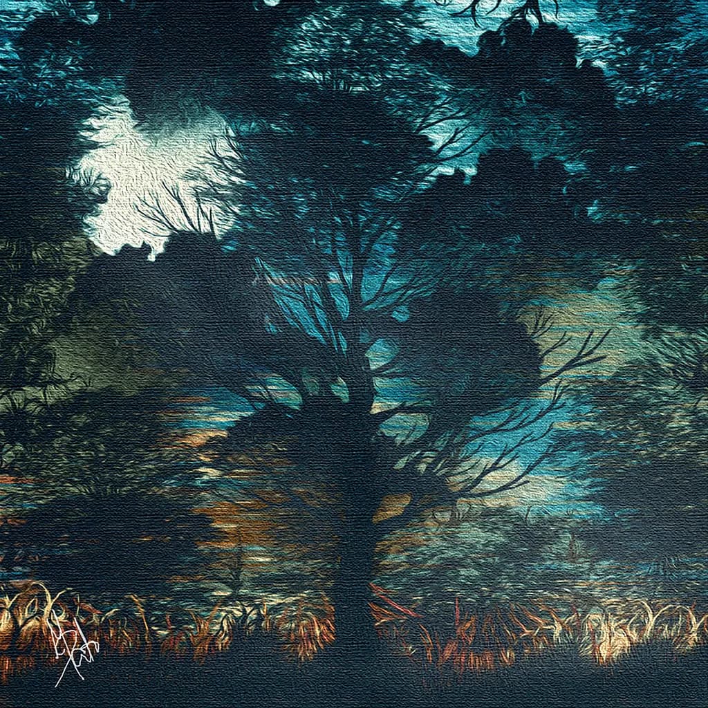 Noite Silhouette