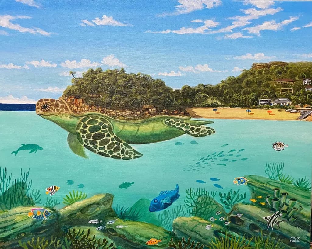 Turtle Shelly Beach Manly