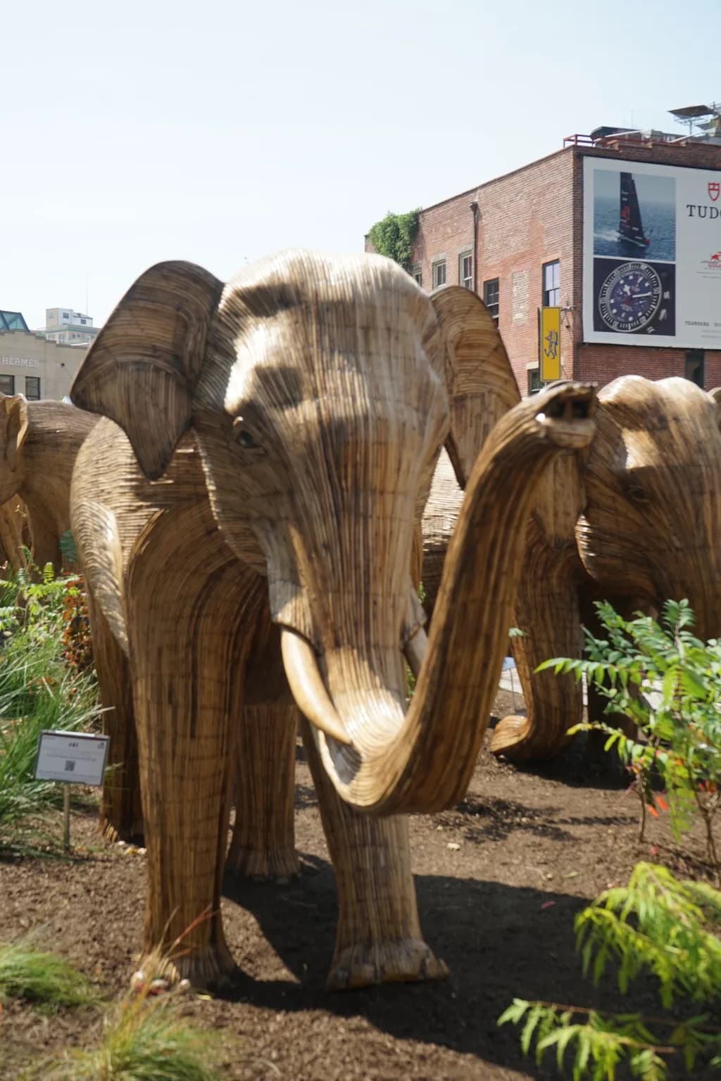 Wooden Elephants