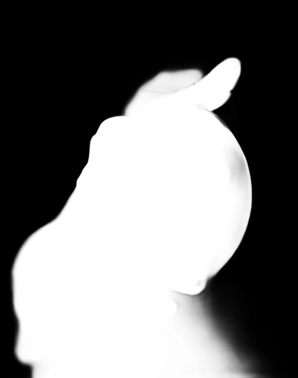 Gestural Silhouette