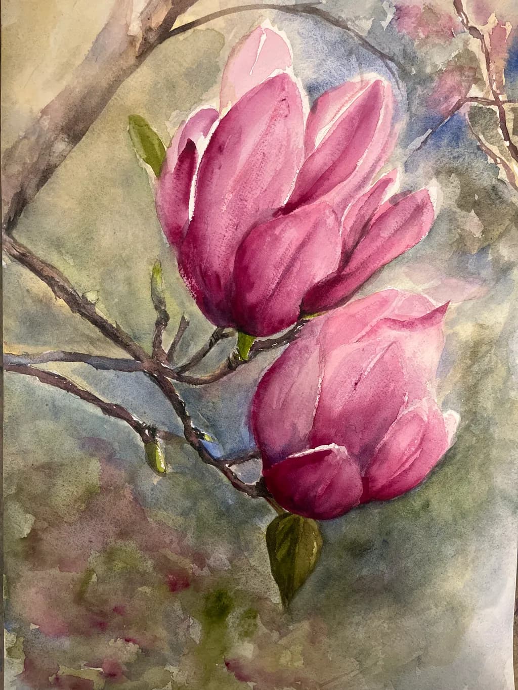 Pink Magnolia Bloom