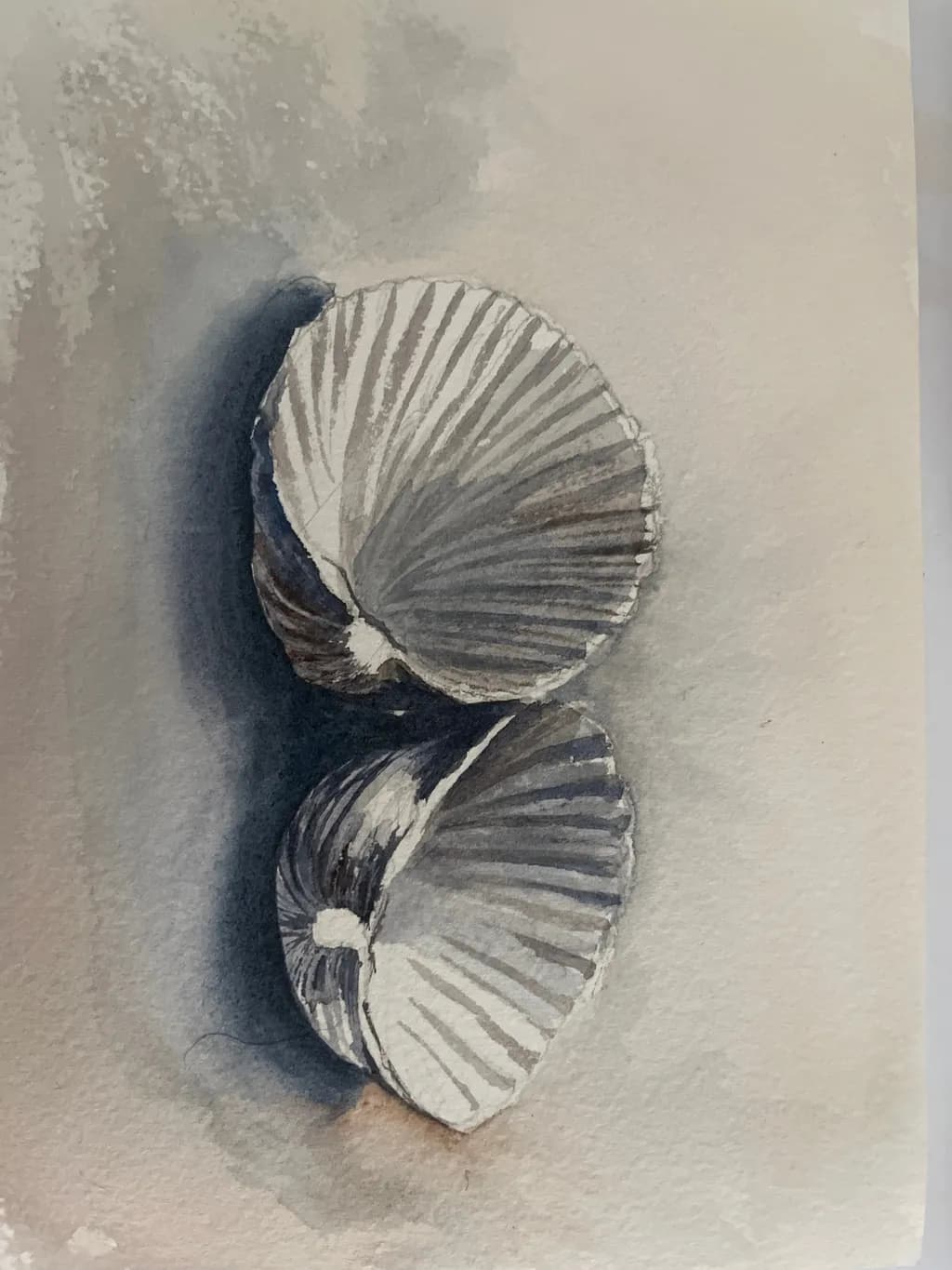 Twin Shells