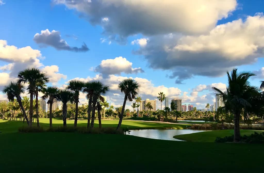 Tropical Skyline