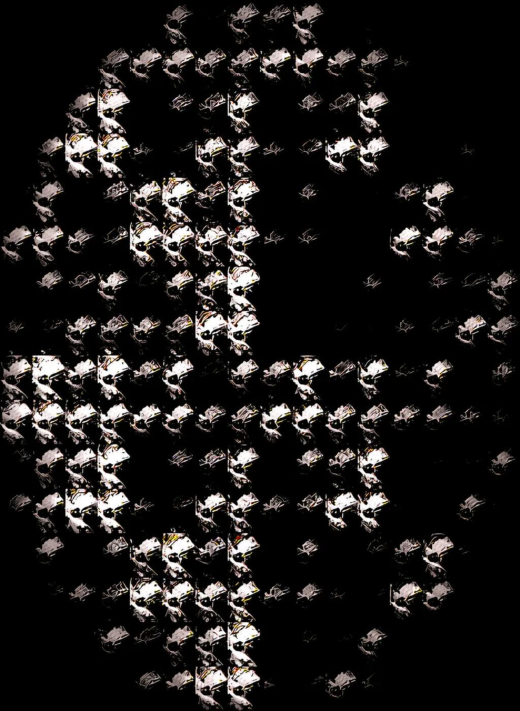 Fragmented Visions
