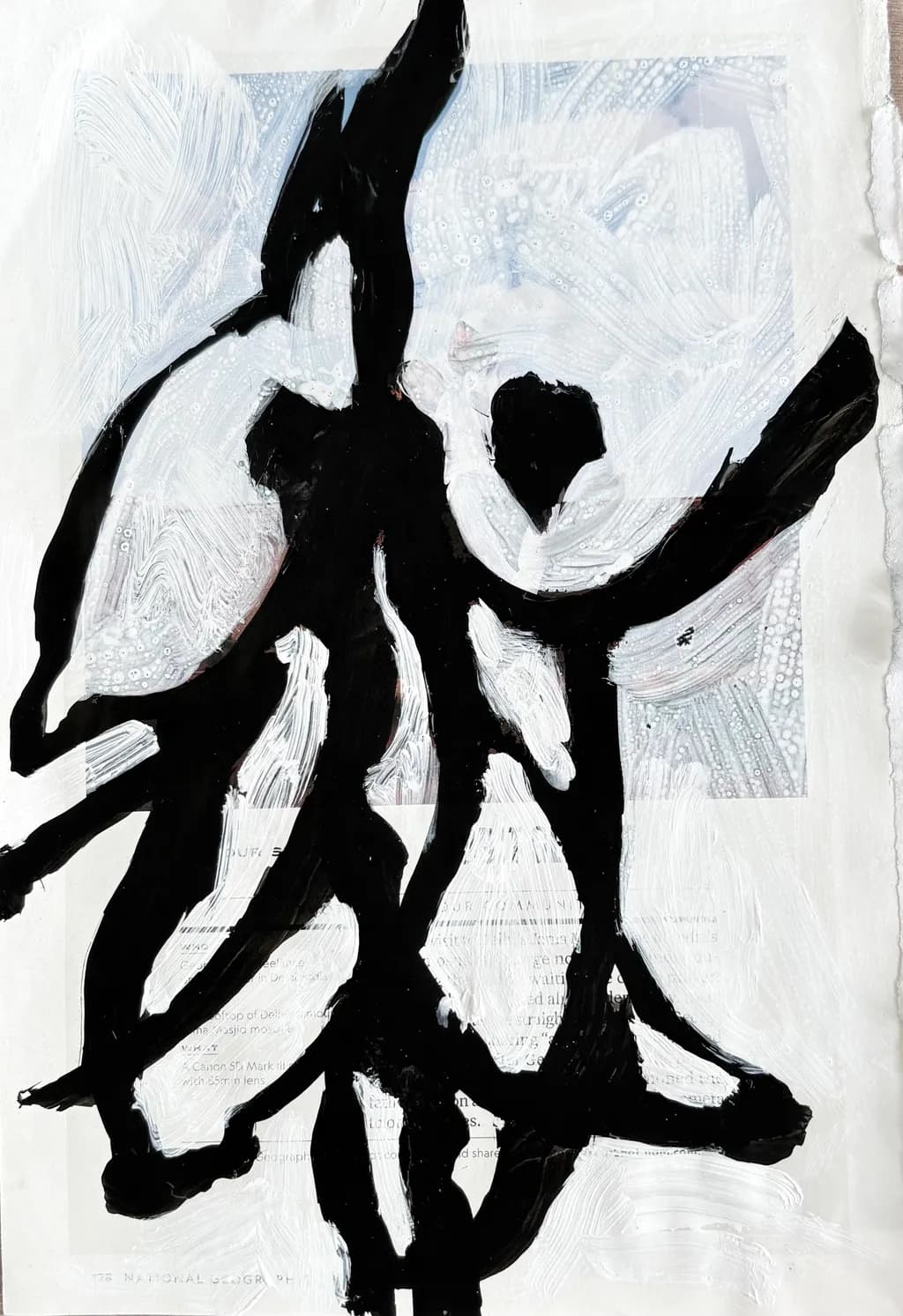 Tangled Silhouettes