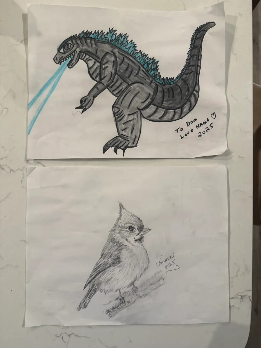 Dinosaur and Bird Duo