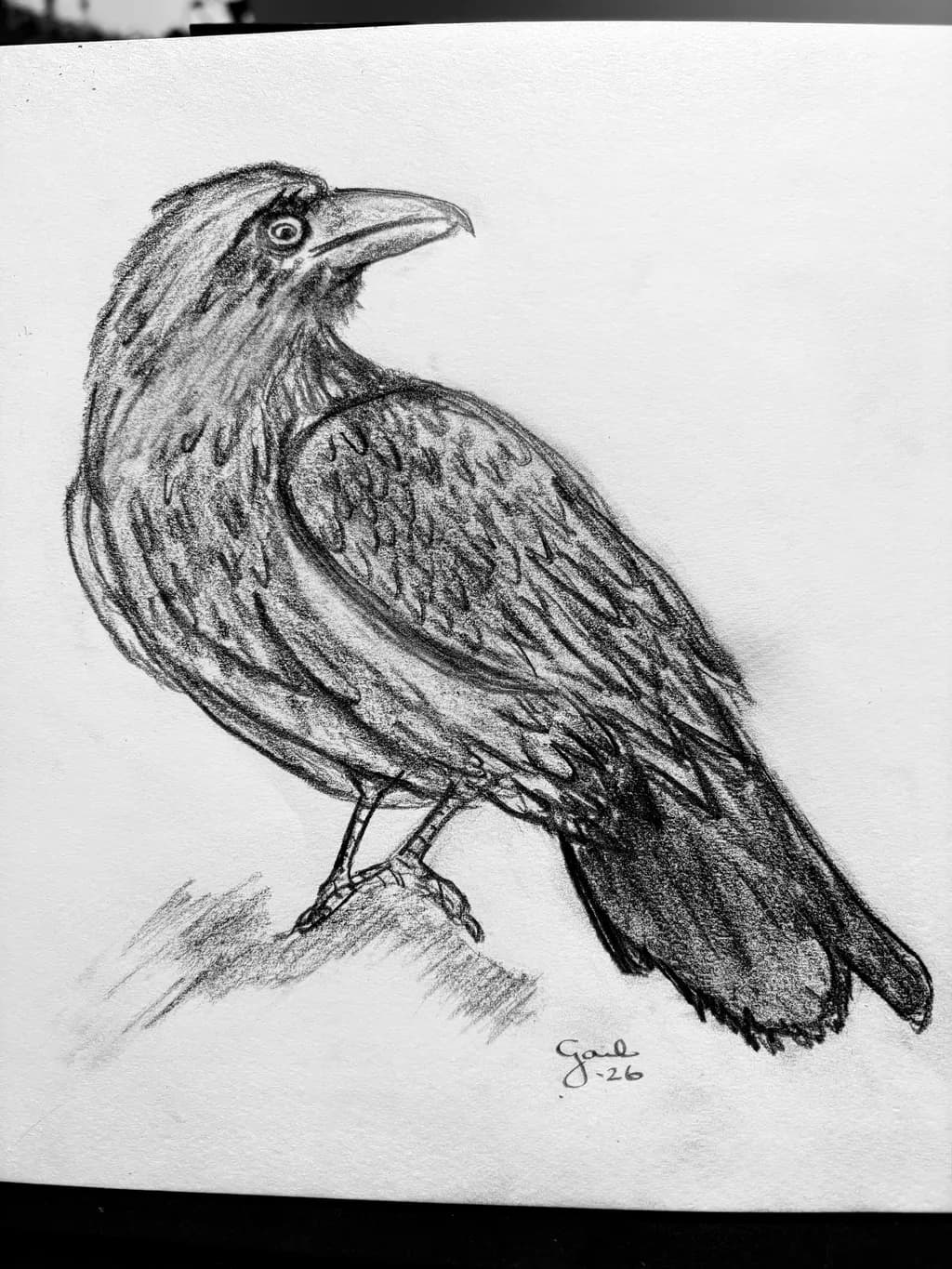 Raven Study