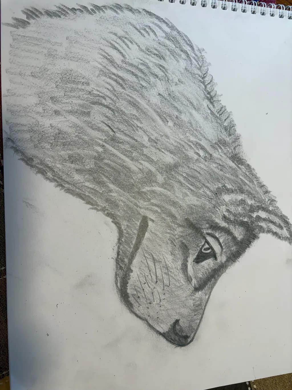 Feline Profile