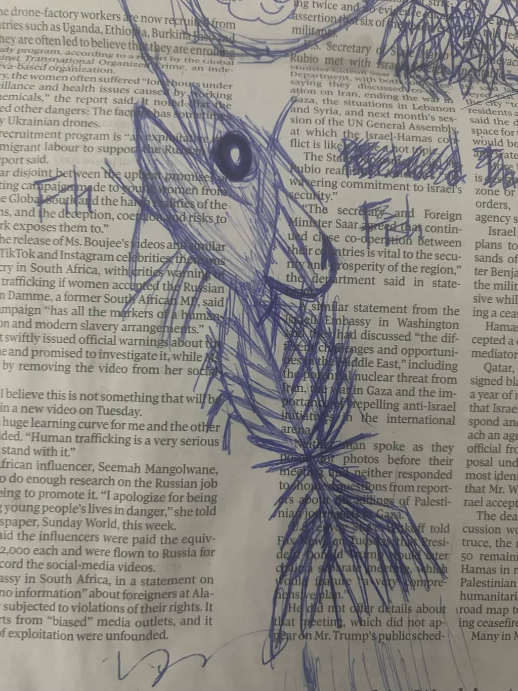Inkfish Dialogue