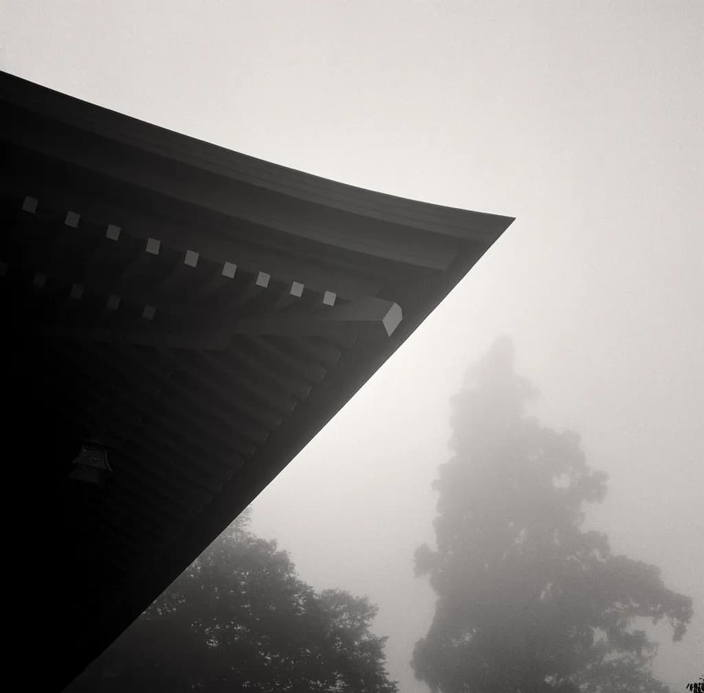 Misty Ascent